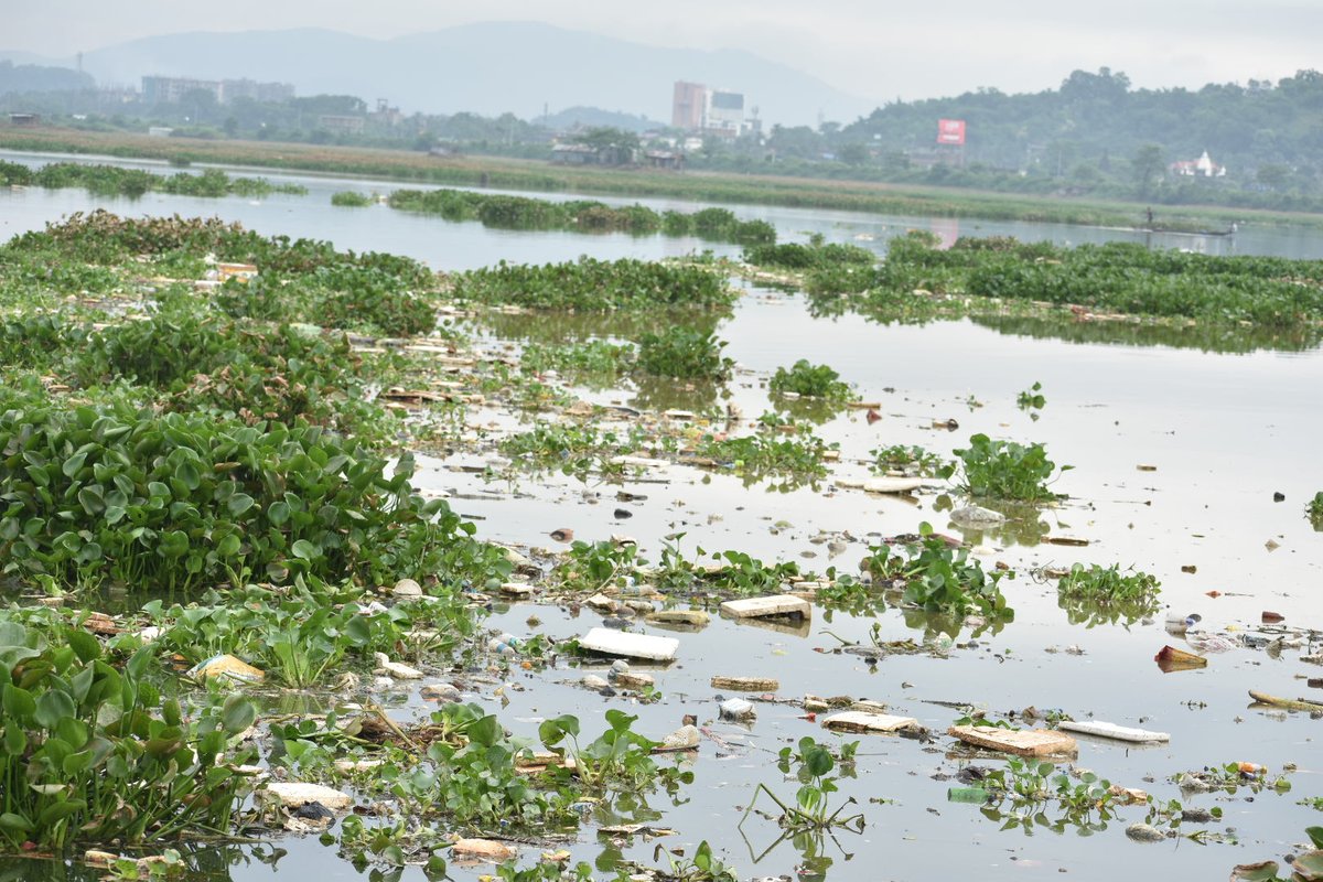 Pramod kalita tweet media