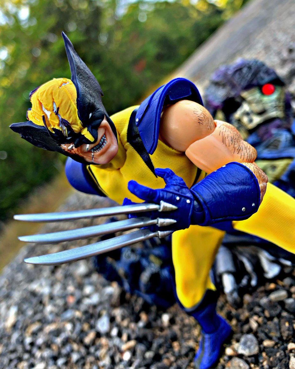 Dwfcollection's tweet photo. Here’s some pics of the mezco tiger stripe Wolverine #mezco #mezcotoyz #wolverine #marvel #mcu #xmen #mutants #XMen97 #MarvelComics https://t.co/1W3kRRn20F
