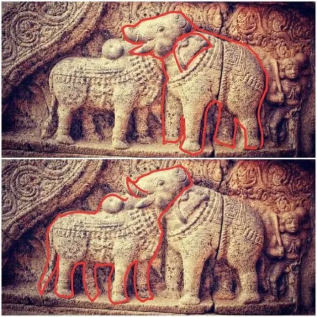 インド南部ダーラースラムにある、ヒンドゥー教寺院アイラーヴァテシュワラ寺院には世界最古の多義図形(騙し絵)を利用した彫像がある。
頭部が左の動物であれば雄牛、右であれば象。雄牛と象は、象徴する意味が異なる。
作られたのは12世紀で約900年前のもの。 