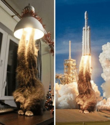 <a href="/elonmusk/">Elon Musk</a> <a href="/SpaceX/">SpaceX</a> 🚀🚀🚀