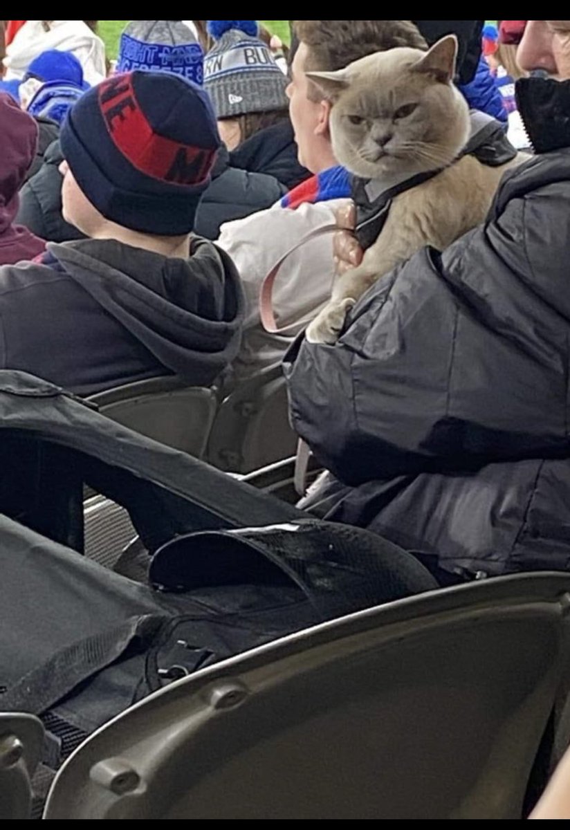 I thought I had seen everything at the footy.. until last night!