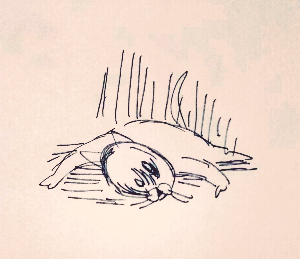 暑さのせい 