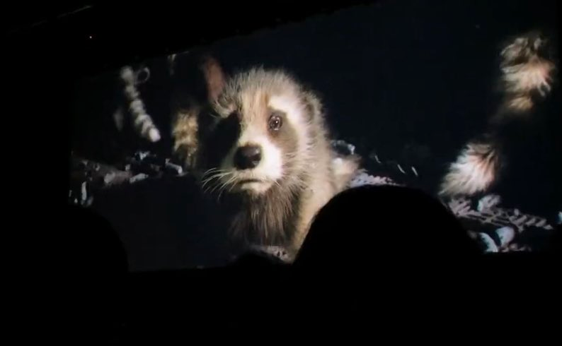 Baby Rocket
#MarvelSDCC