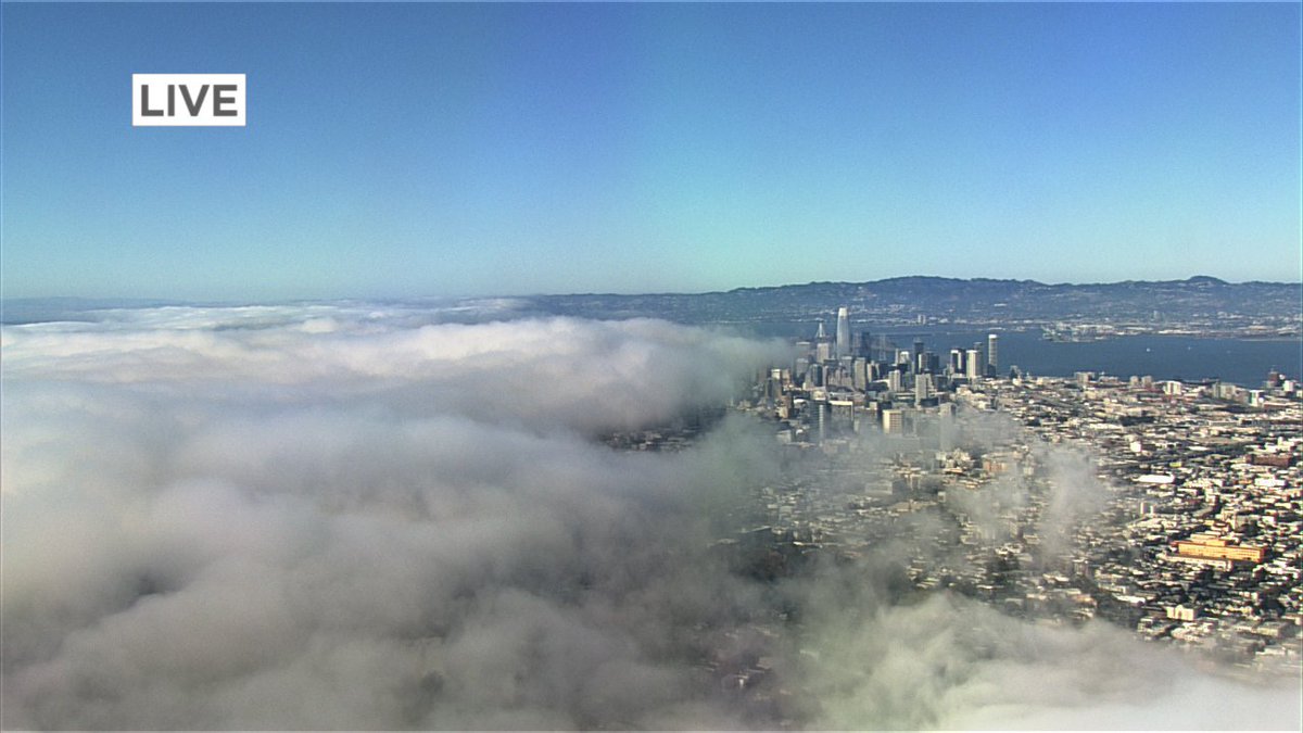 DrewTumaABC7's tweet image. He&apos;s on the move 🌁