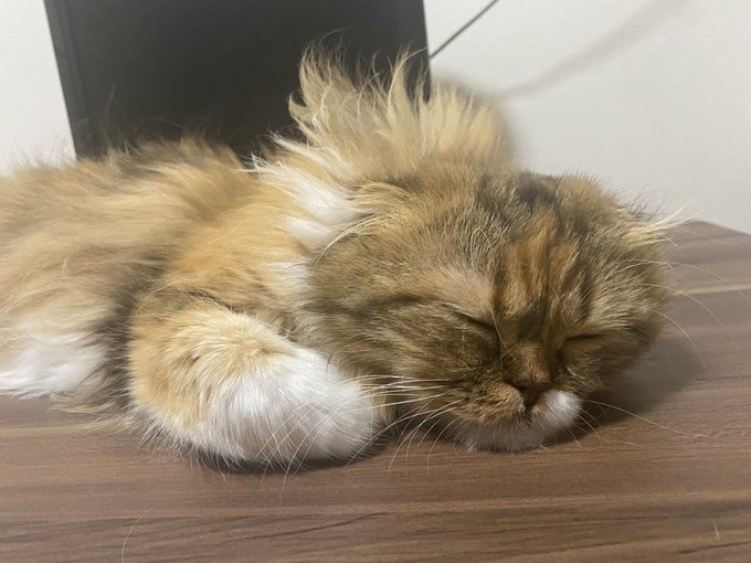 サウナ 高画質 のtwitterイラスト検索結果