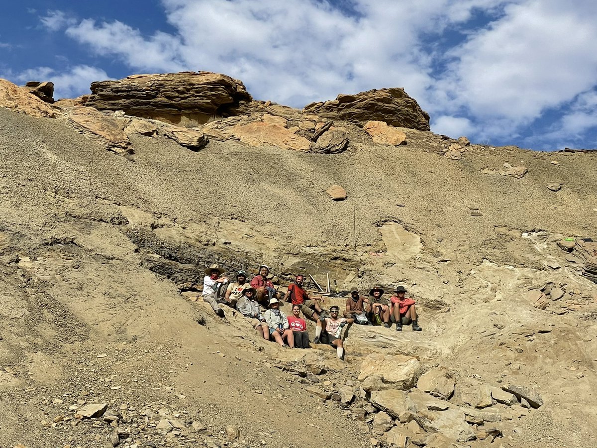 Lindsay Zanno tweet media