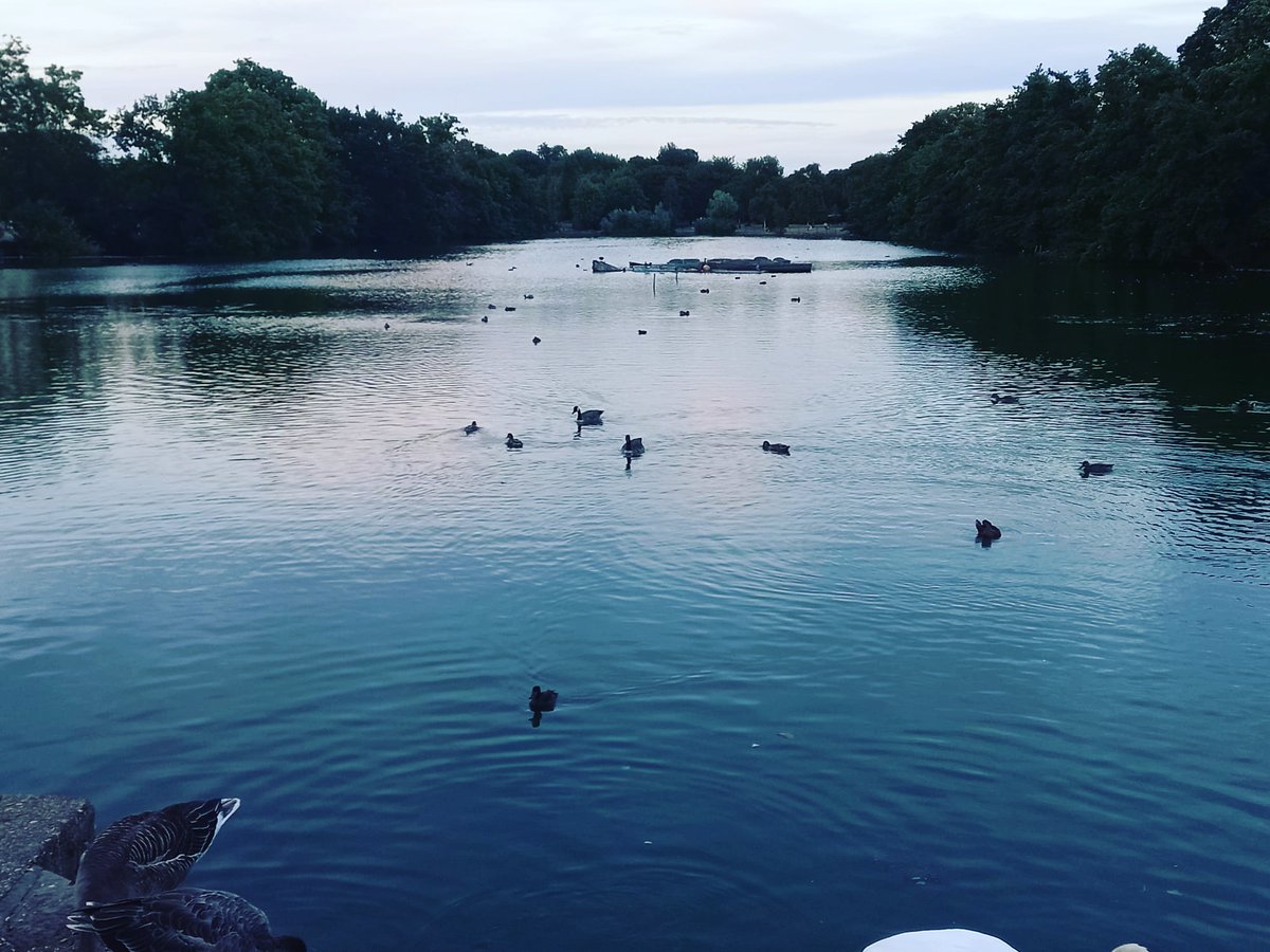 BKobusingye's tweet image. #refreshingwalk