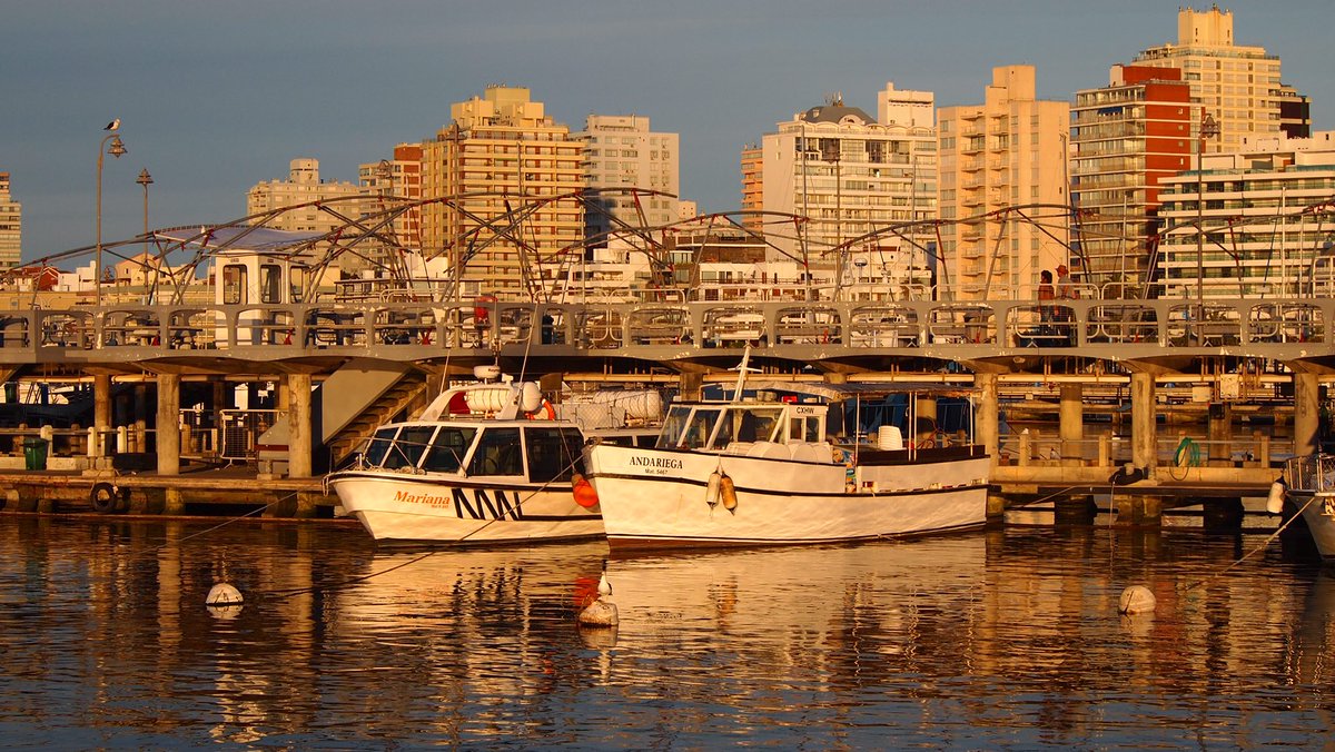 ArtPeixe's tweet photo. #nov2015 #memories #PuntadelEste #photographylovers https://t.co/E6B1C2jRDH