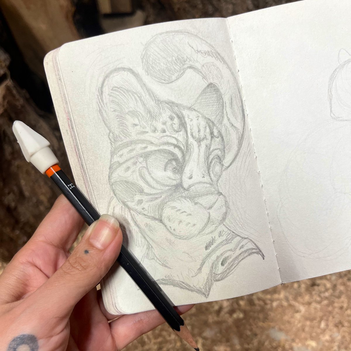 Thinkin about ocelots