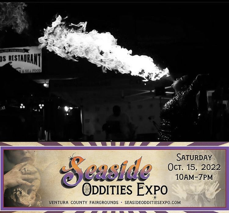 ZariyahFiyah's tweet photo. Come check me out 🔥☠️ #dancer #fireperformer #circus https://t.co/dS6OioJZ7U