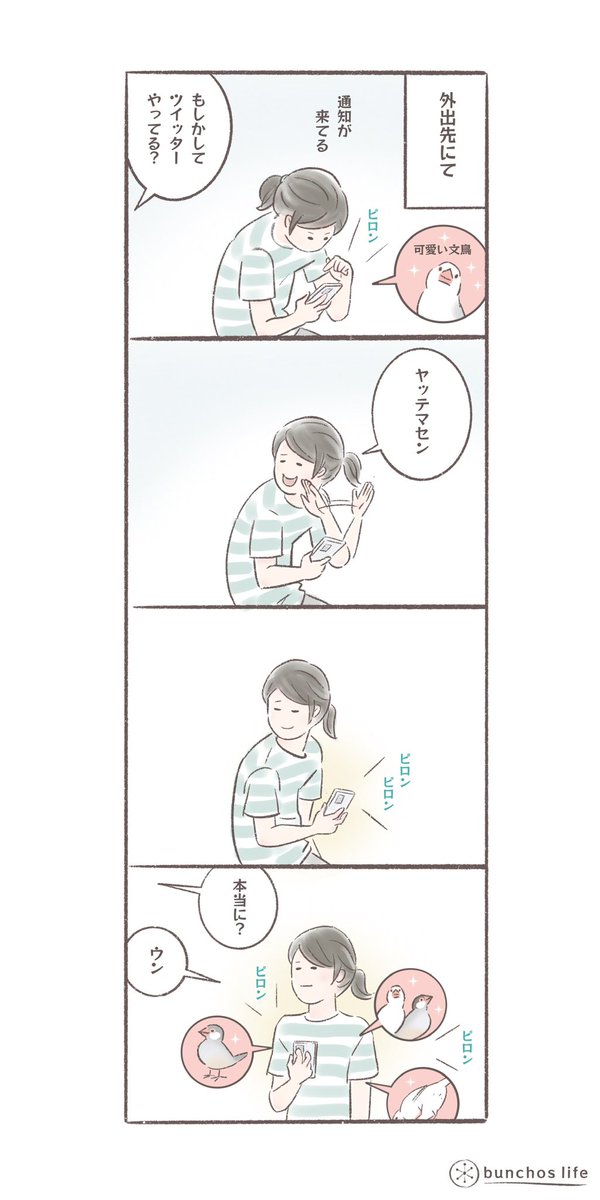 こんなに毎日ツイートしているのに、ツイッターやってるかと聞かれると「やってない」と答える
#文鳥
#bunchoslife 