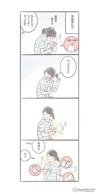 こんなに毎日ツイートしているのに、ツイッターやってるかと聞かれると「やってない」と答える
#文鳥
#bunchoslife 