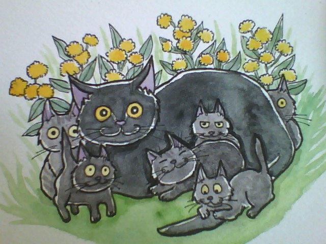 Pretty mom. Six kittens. And it is a flower of Inura. @KeighleyCatCare #pasericat