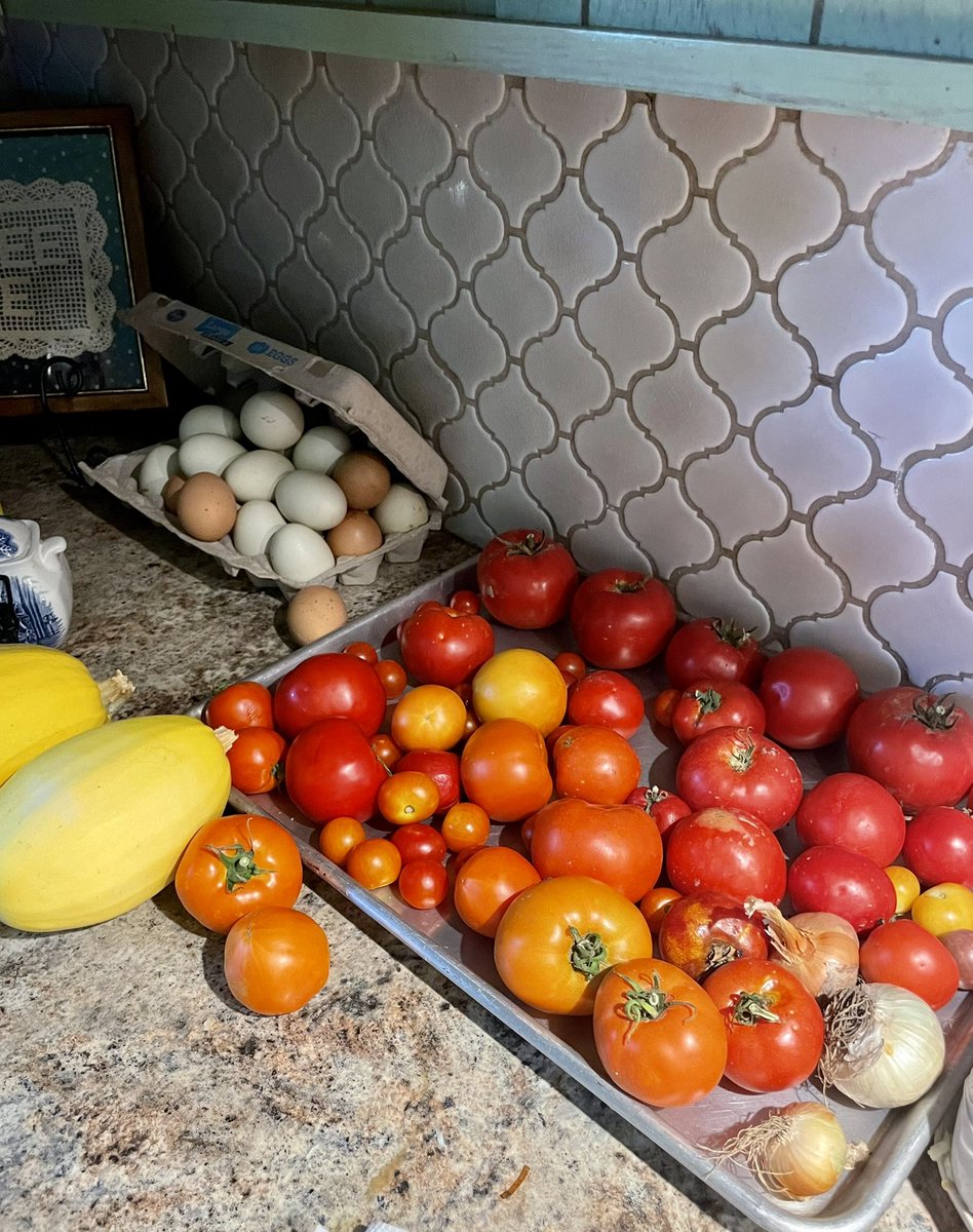 Fresh eggs, tomatoes and spaghetti squash
