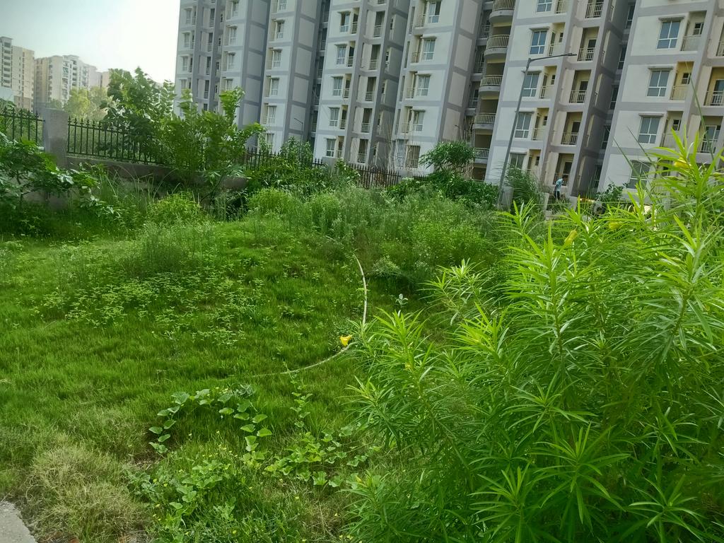 KoyalEnclave's tweet photo. कोयल एनक्लेव K11,10,09 @gdagzb द्वारा विकसित जिसमें अनुरक्षण कार्य नहीं हो रहा, जबकि अनुरक्षण का 2150 रुपए पहले से ही जमा है, लेकिन जीडीए के अधिकारी भ्रष्टाचार, अनदेखी, लापरवाही में लिप्त हाय संज्ञान नहीं ले रहे हैं @dm_ghaziabad @UPGovt @sunilsharma_bjp @PMO_NaMo @Gen_VKSingh https://t.co/jiMGkp5C7E