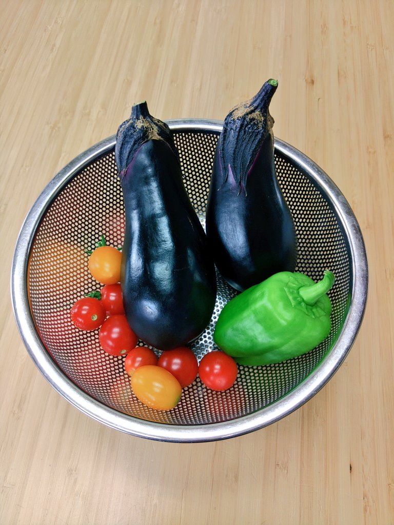 _muneo_'s tweet photo. やっと出来はじめた夏野菜。
若干ボケナスでヘタも汚いけど天ぷらで食べよう。
#駐車場菜園
#とげなし千両二号
#イエローアイコ
#プレミアムルビー
#やわらかいピーマン https://t.co/aMAJkHtRGz