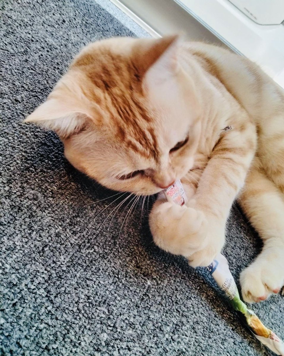 こんにちは。いつも思うんですが、おて手が可愛くて好きです(*´꒳`*)

皆さんの素敵な言葉や、お写真に癒されてます。いつも、ありがとうございます。