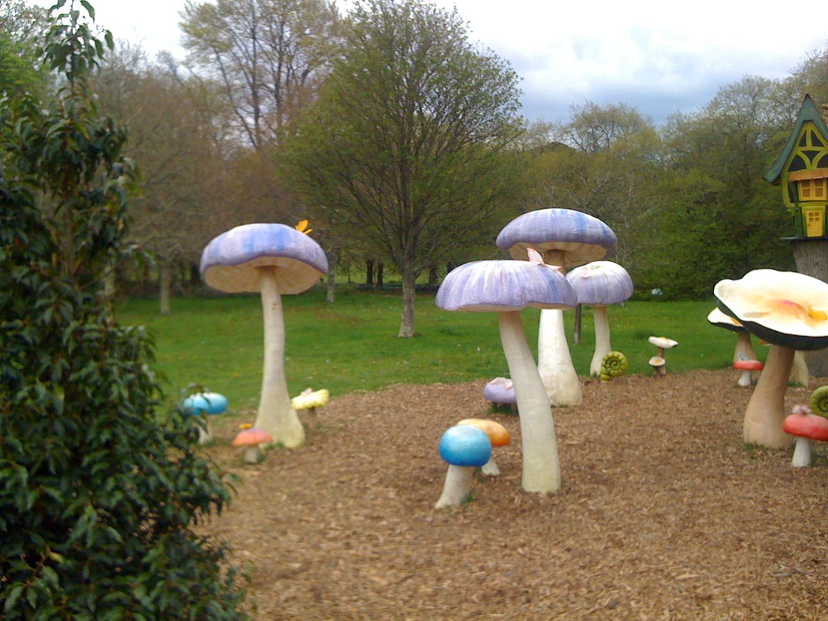 CryptoHonchoBTC's tweet photo. If you start trading and you think your going to make wads of $$$ .... your in fantasy land, 
Here's my back garden. https://t.co/UgXZFdO07x