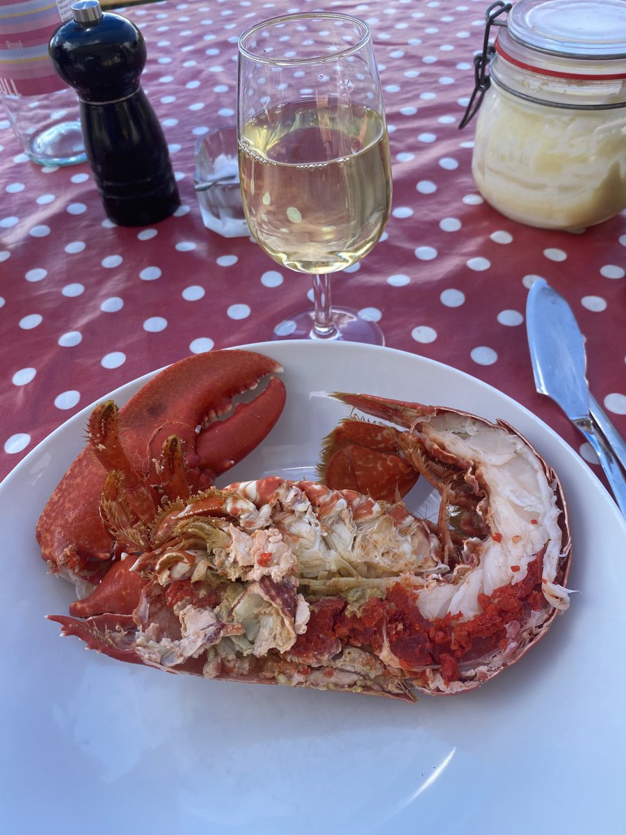 Tom Doorley tweet media