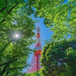 ツイートに含まれる画像