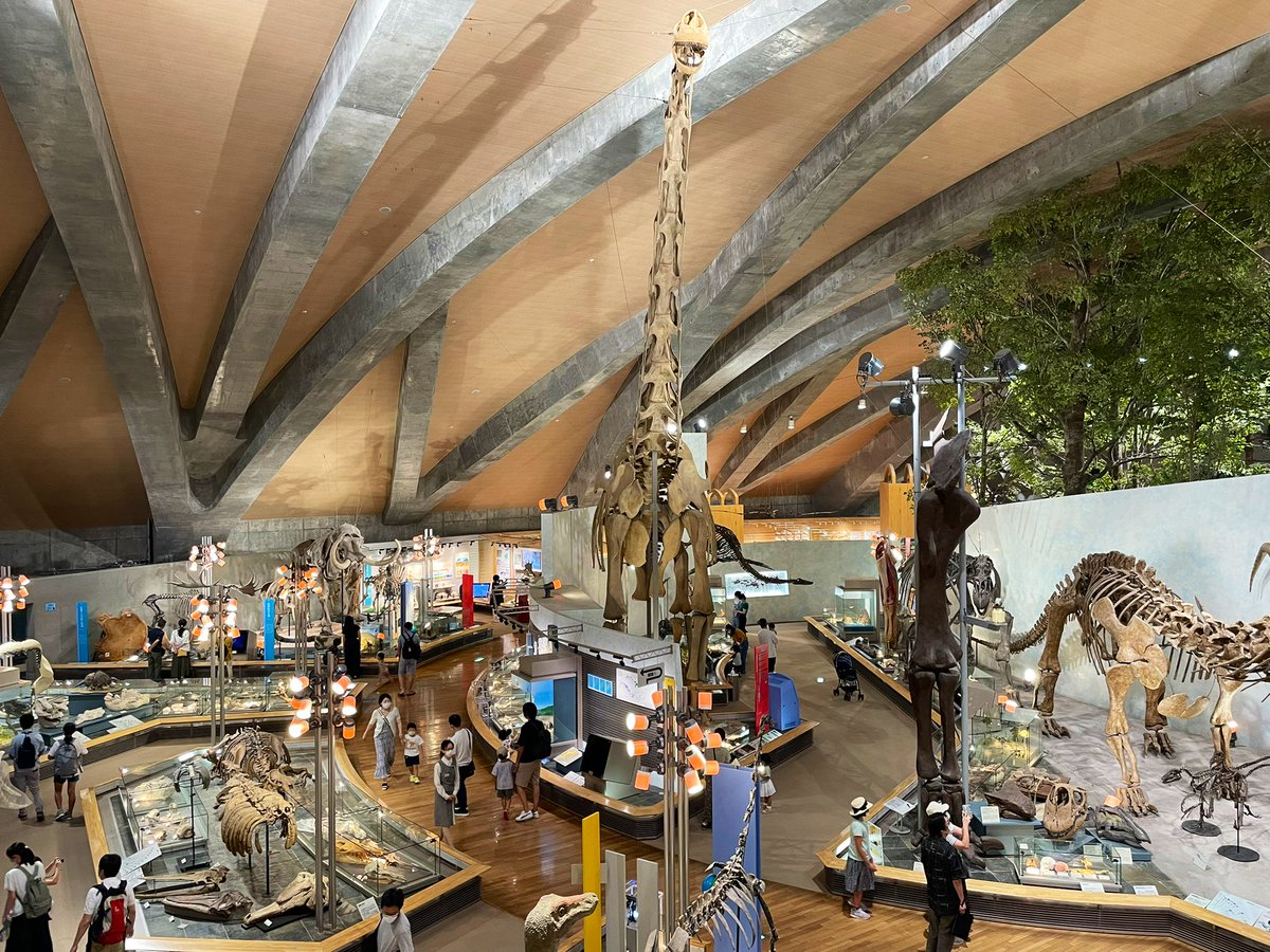 恐竜、化石好きにお勧めしたいのが群馬県立自然史博物館。Google評価4.4/5は伊達じゃないよ！毎週土曜日はワークショップ開催中（無料/保険代50円のみ）。ダーウィンの部屋もあり、日本でここにしかないダーウィン直筆の手紙も展示されてます。ご近所に世界遺産の富岡製糸場もあるので、梯子がお勧め。 