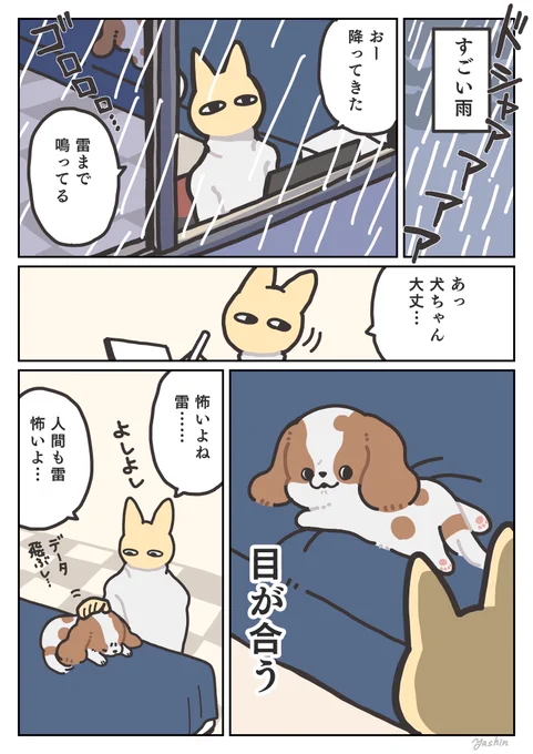 犬日記 かみなりこわい 