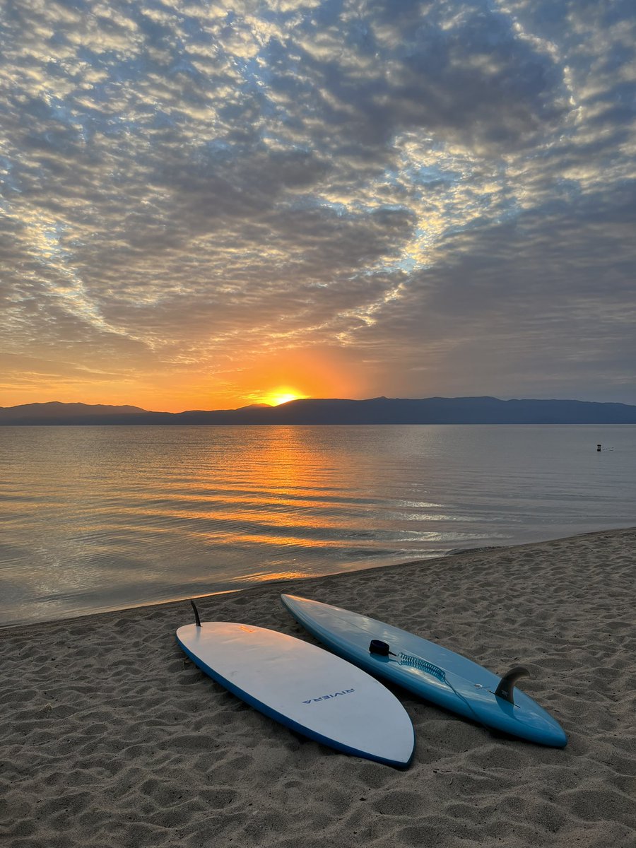 nguyen duong tweet media