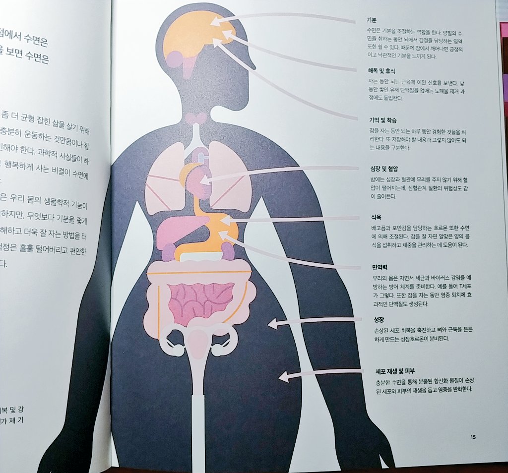수면의 과학
잠 자는 동안 기분 조절, 해독 및 휴식, 기억 및 학습, 면역력, 성장호르몬, 염증 완화.