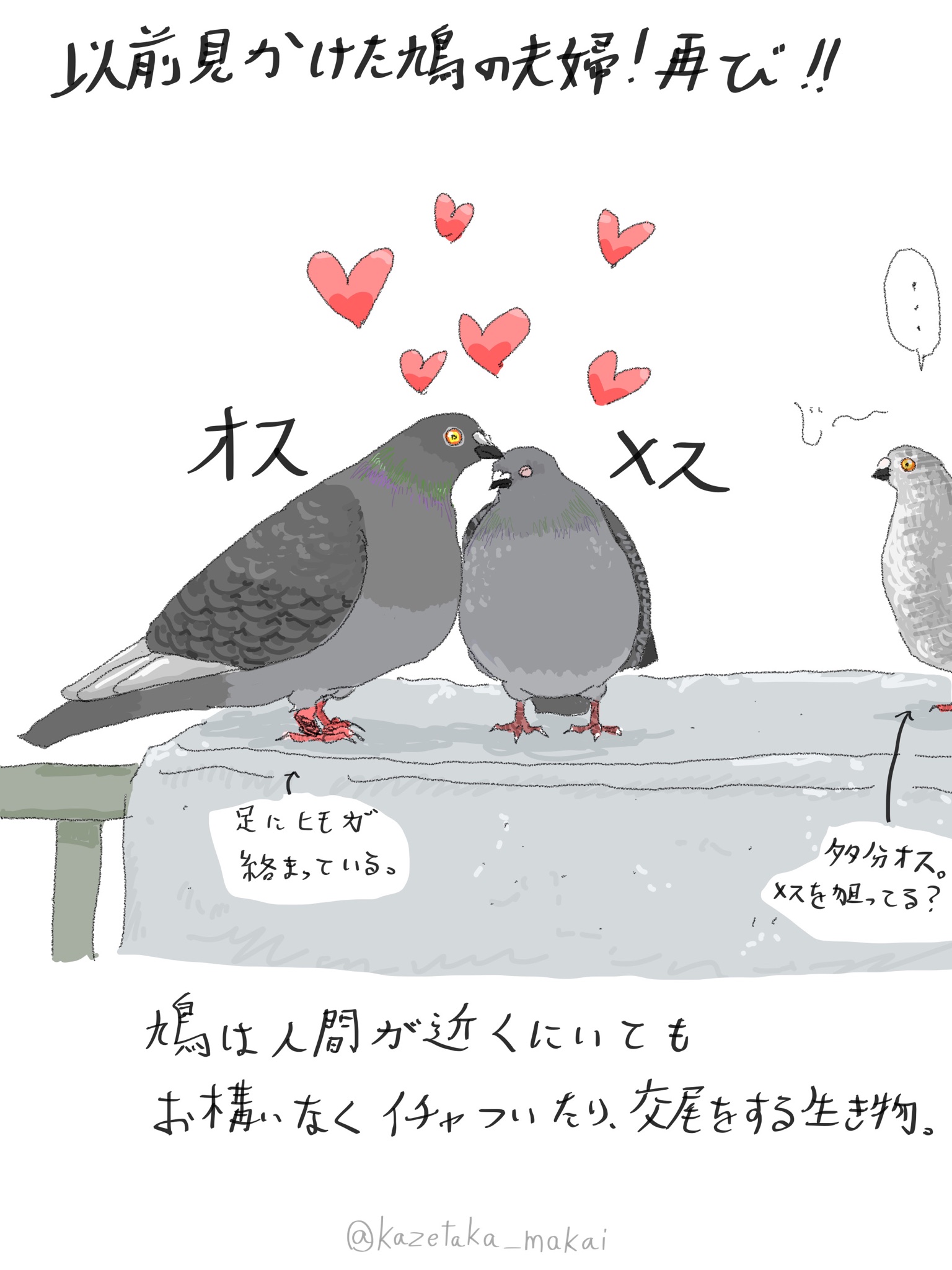 PIGEON&PEACE / はと森ハト JWアンダーソンが幸福の象徴とされる“鳩”のクラッチバッグを発売