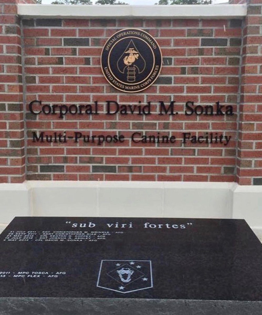 op_hawkeye's tweet photo. 7.31.2011 ~ Sgt. Christopher Wrinkle & Tosca πΊπΈ
#OpHawkeyeRemembers #ChristopherWrinkle #Tosca #MarineRaider #2MSOB #MARSOC #SpritusInvictus #SOFK9Memorial
π https://t.co/RlswSxcAYA
π https://t.co/uHrmr8u7Tl
π° https://t.co/zAgaB0dq1o
π° https://t.co/TxBripVhl9 https://t.co/2rJBTLQskV