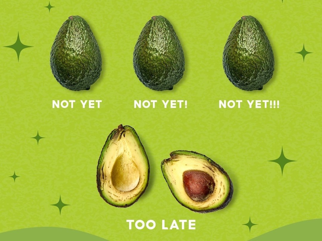Wellzio's tweet photo. POSITIVE POST OF THE DAY
NATIONAL AVOCADO DAY (USA)

There are many healthy fats to be eaten and this is just one of them

I like mine on a salad. 

Recipes here 

https://t.co/pkiDrr6wK3

#t2d #diabetes #lowcarb #keto #healthyfats #avocado https://t.co/fynESa2Yi1