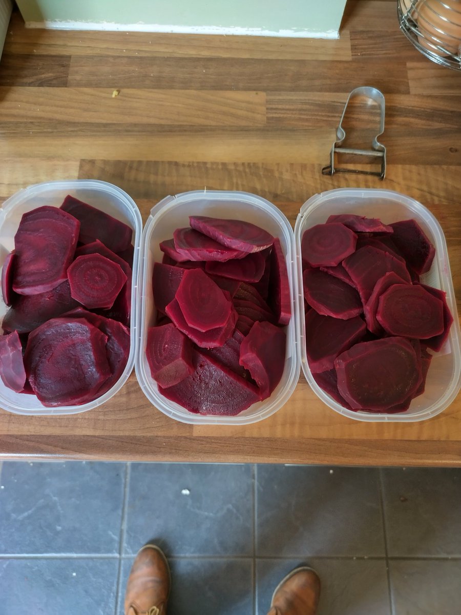 Home grown beetroot for pickling. #growyourown