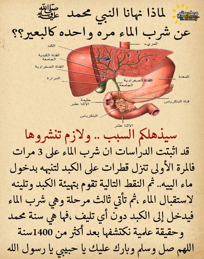 معلومة:
🌺اللهم زدني علما🌺