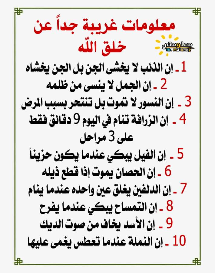 🎡معلومات غريبة عن خلق اللّٰه🎡
"والله أعلم"