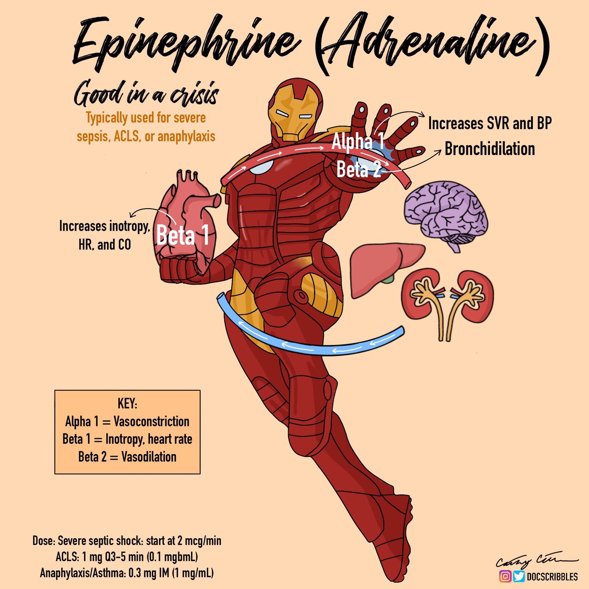 Srihari S. Naidu, MD tweet media