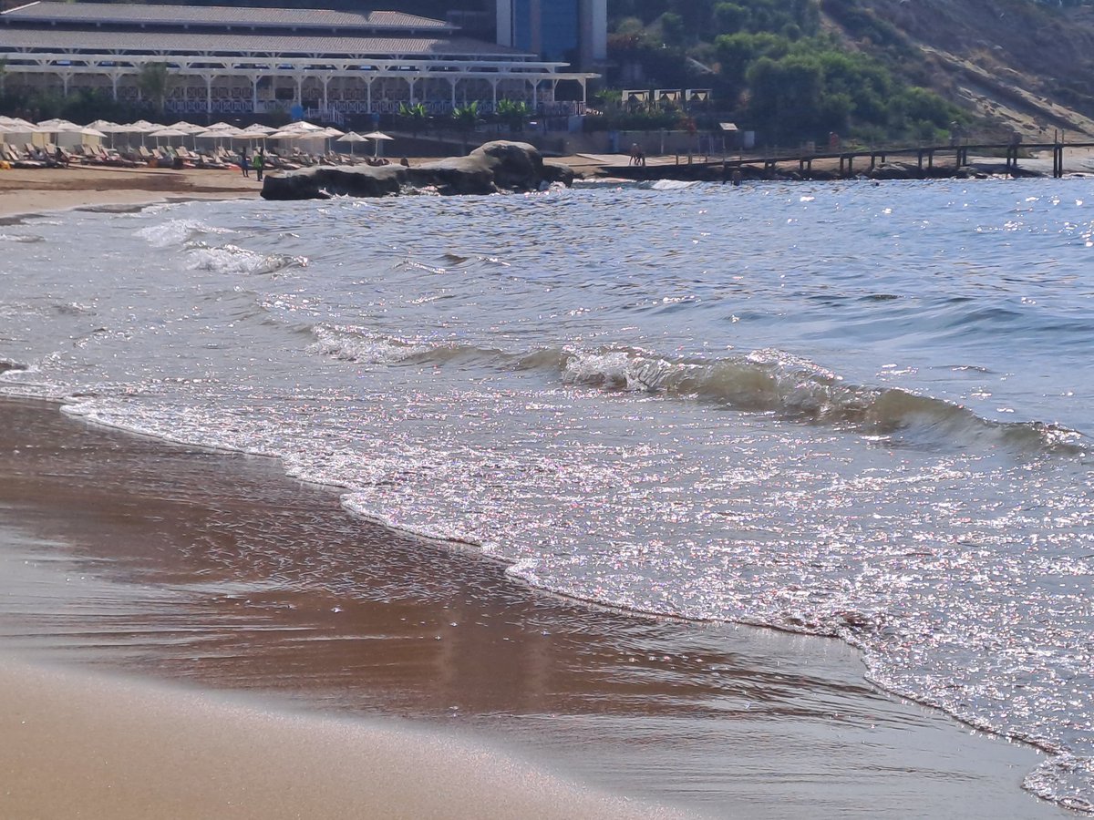 PapaFish_NFTs's tweet image. GM #NFTCommunity 🧜‍♀️
Hv All a Chill &amp;amp; Productive SUN !

opensea.io/collection/fis…

🌊🌊 we are #FishPeople ⛵️