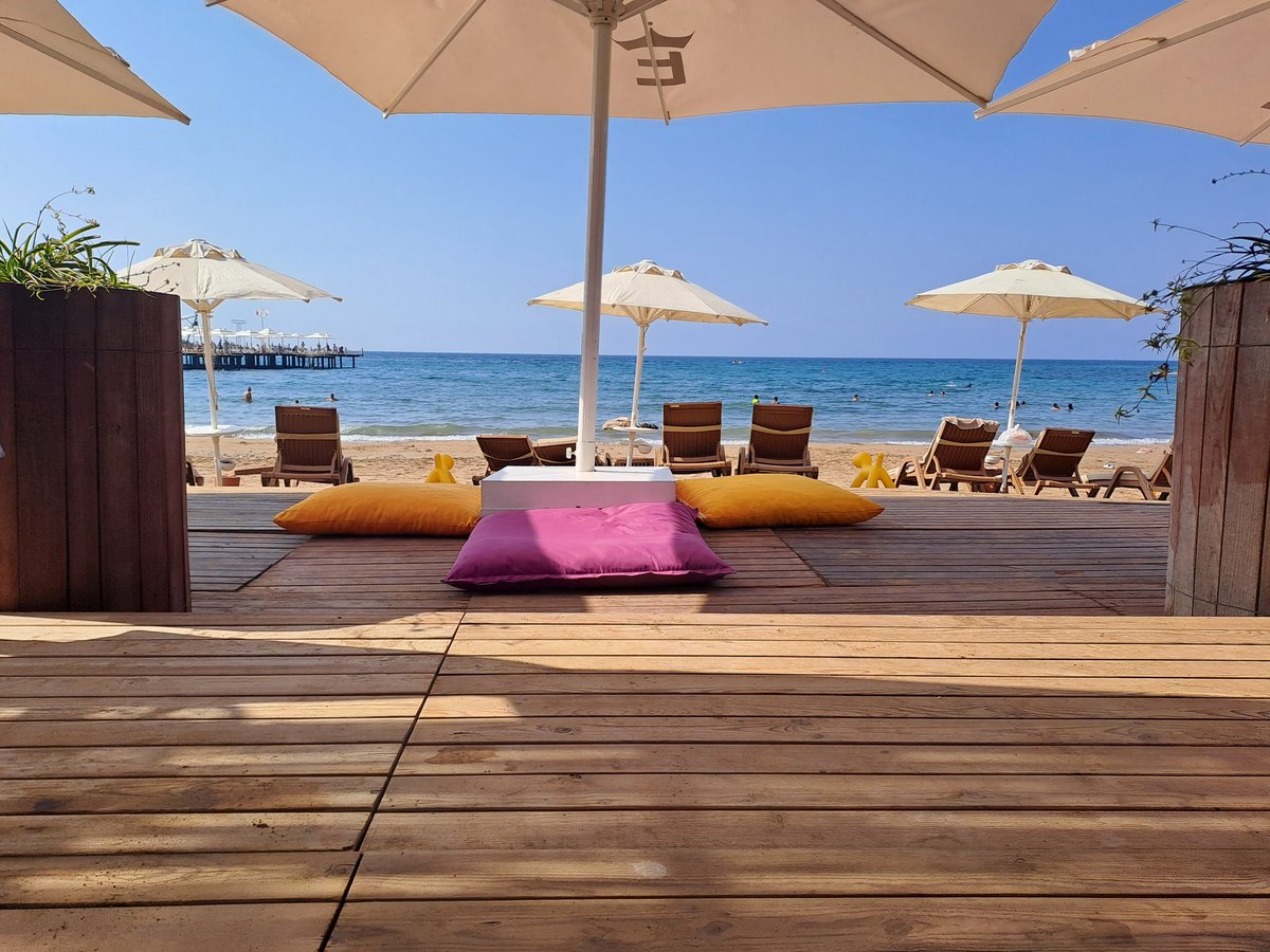 PapaFish_NFTs's tweet image. GM #NFTCommunity 🧜‍♀️
Hv All a Chill &amp;amp; Productive SUN !

opensea.io/collection/fis…

🌊🌊 we are #FishPeople ⛵️