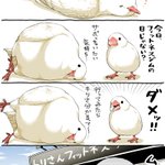 鳥さんフィットネス漫画が可愛すぎ!面白すぎ‼