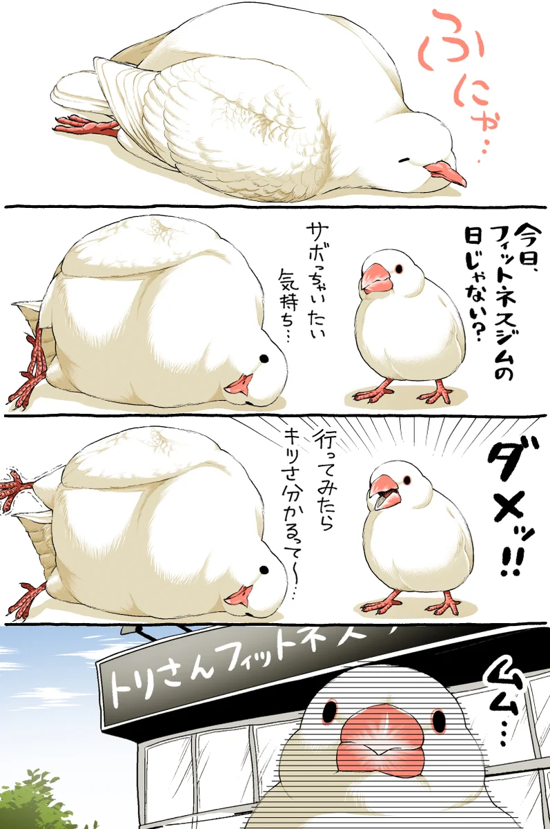 鳥さんフィットネス漫画が可愛すぎ！面白すぎ‼