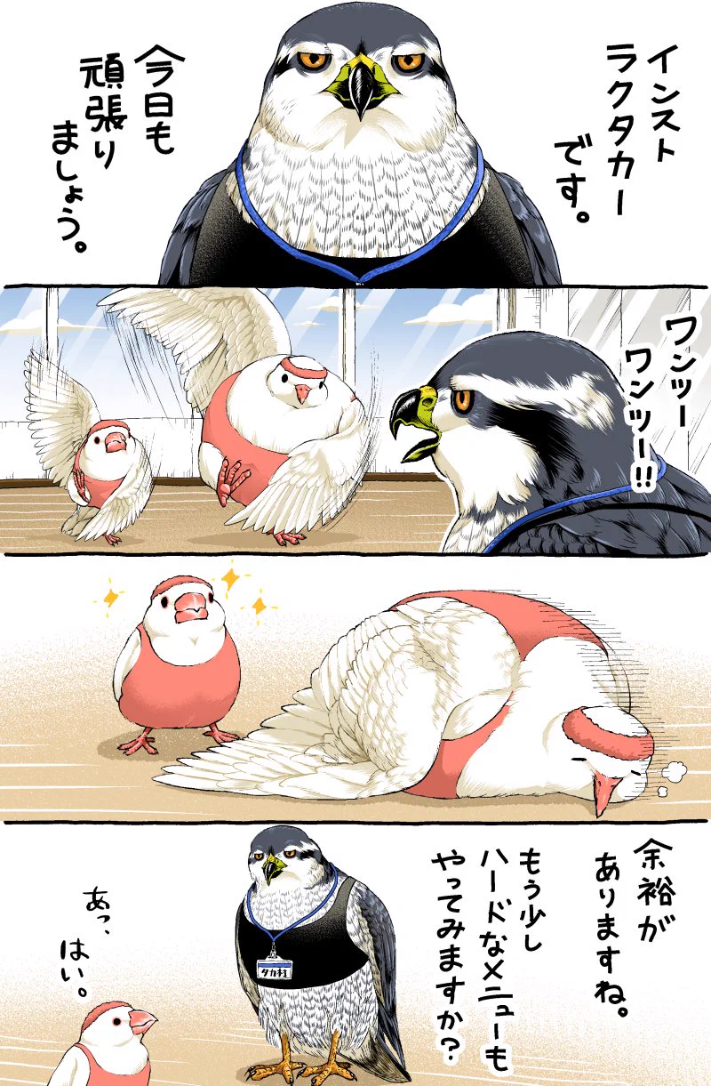 鳥さんフィットネス漫画が可愛すぎ！面白すぎ‼