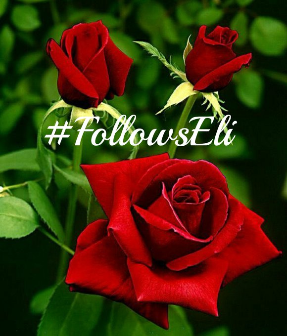 ag19_n's tweet image. @SharifulDM 💔Retweet Plz💔
I do Promise with God Each'll b FollowUp in 5mints❤️I @H6z8s❤️@5Q_ZK❤️@hn_ia7❤️@ag19_n
Online now ready for FollowUp in 5Mints
If I am busy anytime,then its also Strong Promise FOLLOWUP TO EACH BEFORE sleep
#TmPatel #AMY #loyal #FollowEli #TEAMSTALLION