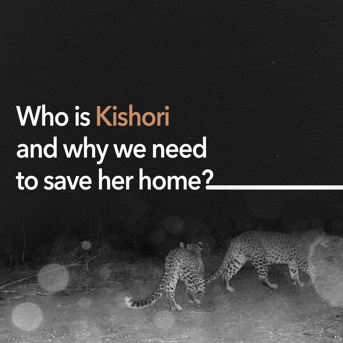 FoundationMuse's tweet photo. As Adivasi Prakash Bhoir once said "Development isn't only indicated by sky-high towers, malls and bullet trains, it also must include forests, mountains and animals".

#Kishori #SaveAareyForest
1/n https://t.co/U5WsNrmXoe