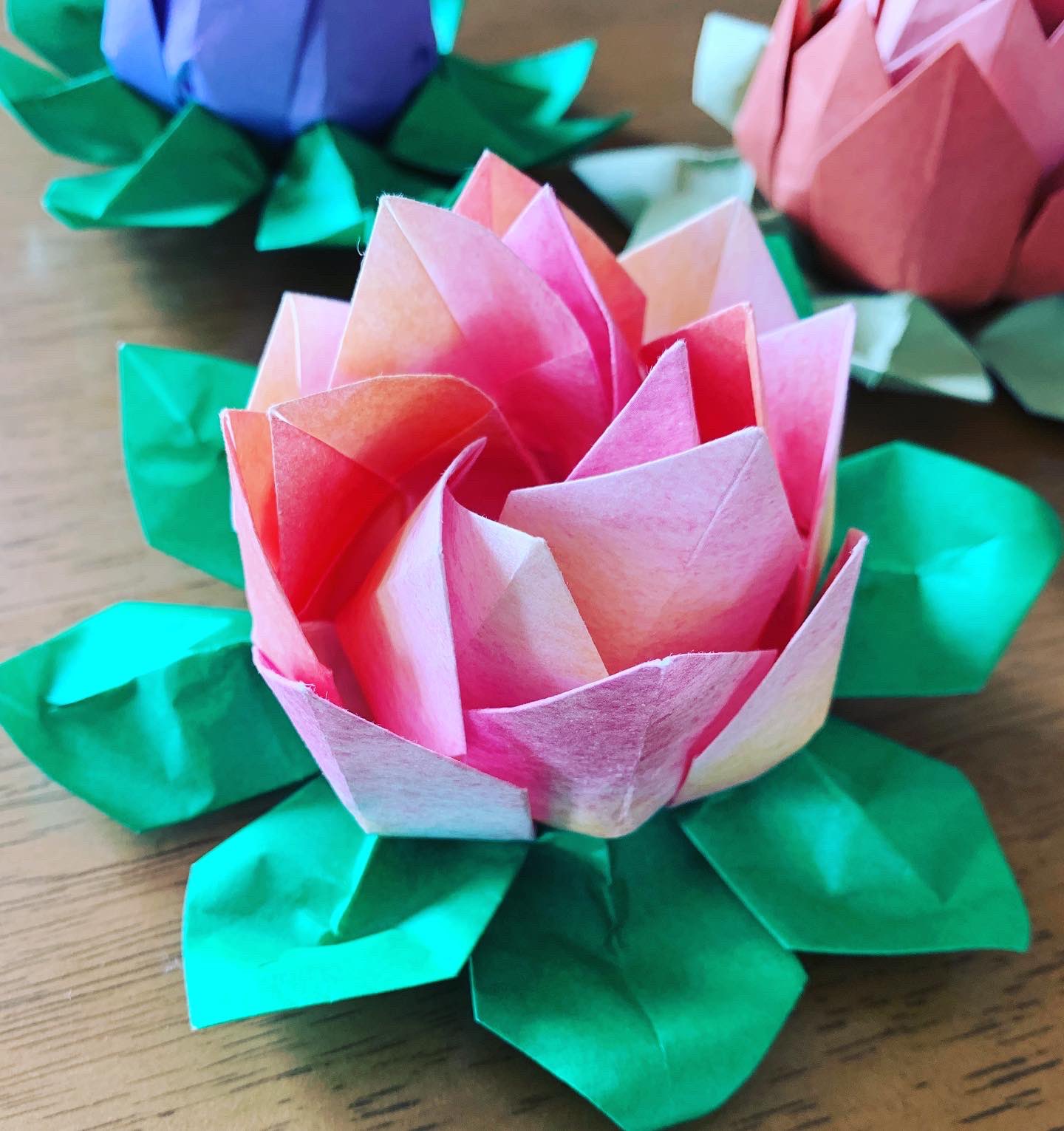 ちさっちゃん おりがみカウンセラー 睡蓮 スイレン 可愛い 花びらや葉の開き方しだいで様々な表情を見せてくれます いろんな素材の 紙 で折り 大きさを変えて大 中 小 折ってみたり 夢中で折ってると時間はあっという間 おりがみ 折り紙