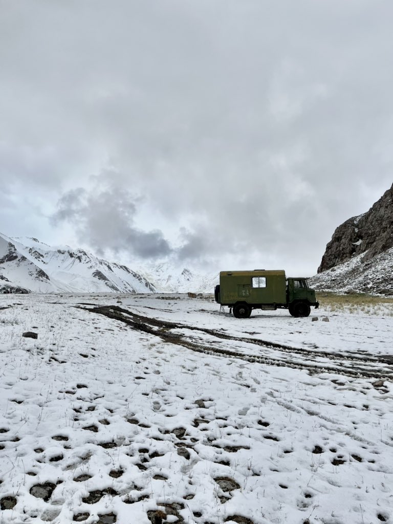 Fernanda Maciel tweet media