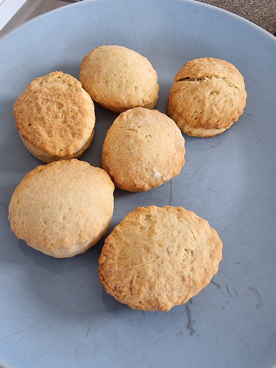 MaysamAdventur1's tweet photo. Today's @DailyPicTheme2 is #Unseen
Now you see it, now it's scone....
🤭
#DailyPictureTheme
#SconeSunday https://t.co/h5ThETnHdW