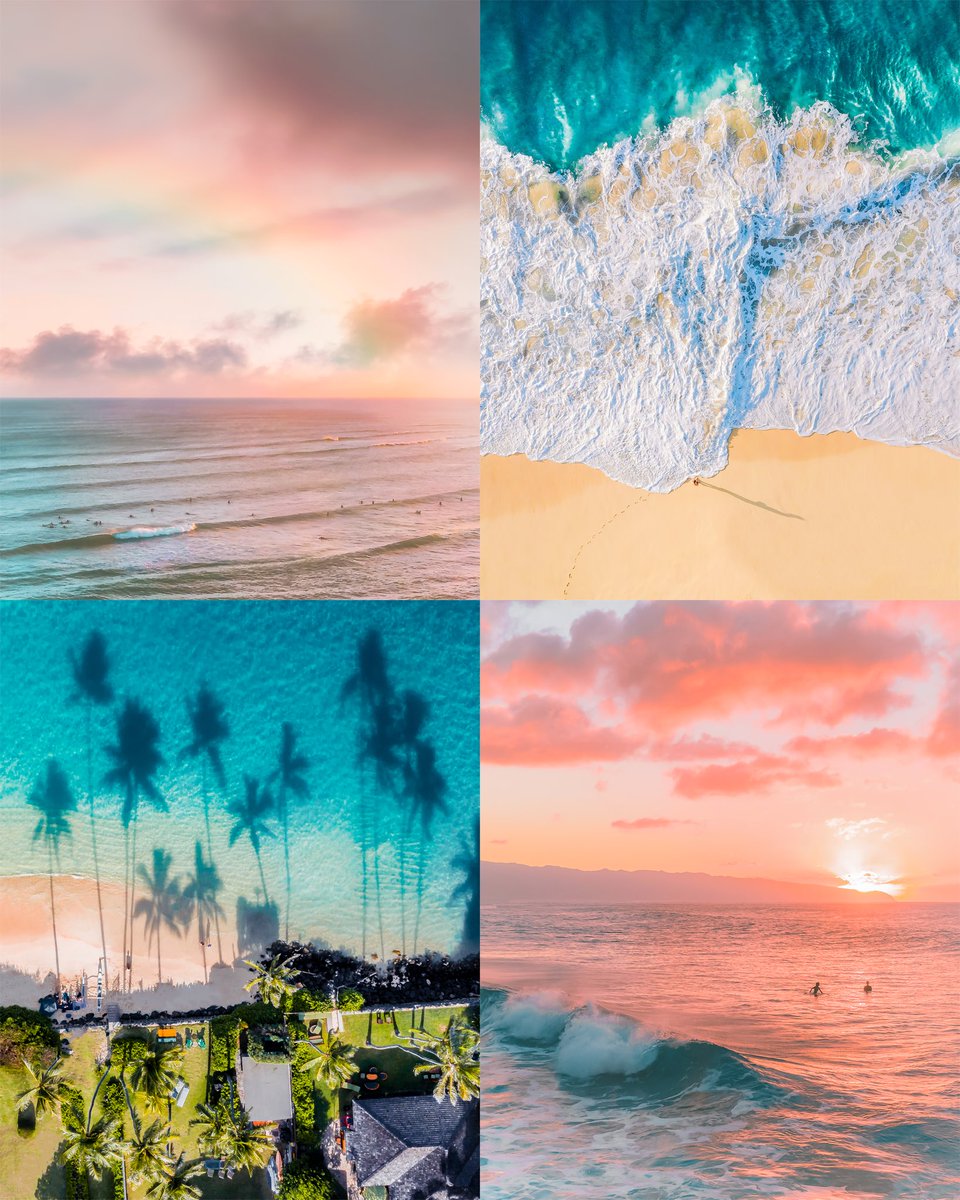 Jess 🌈 tweet media