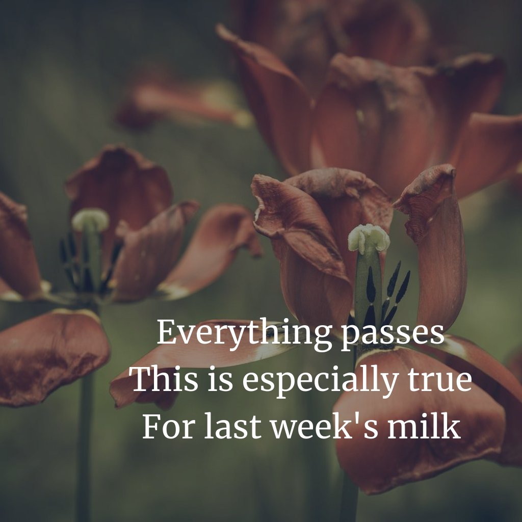 winterstein's tweet photo. Everything passes;
This is especially true
for last week's milk https://t.co/L3wf4114YB
