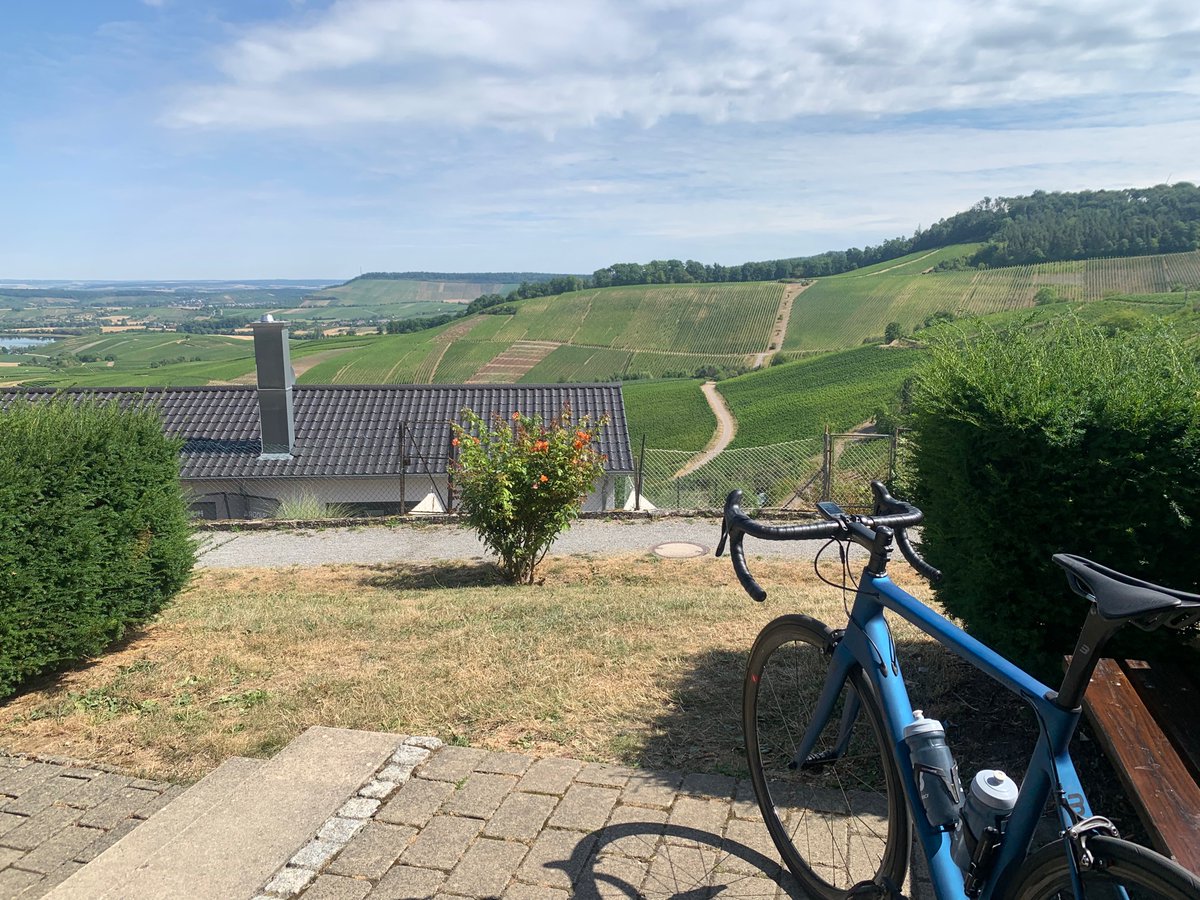 Max Maier 🤖🇪🇺🇭🇰🚴‍♀️ tweet media