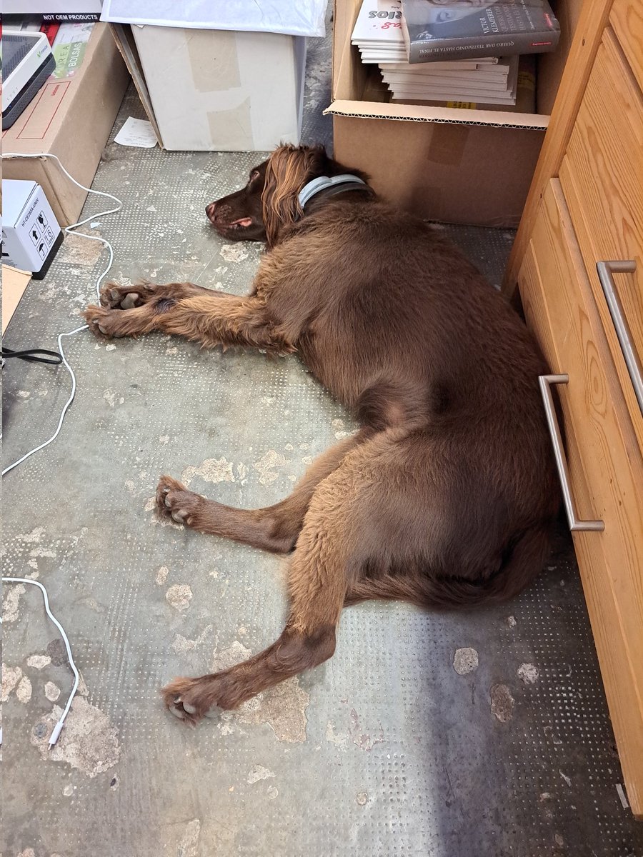 <a href="/llibreriaadsera/">Llibreria Adserà</a> <a href="/Neus26/">Neus Chordà</a> Aquí un altre Tor(tilla) fent veure que ajuda.