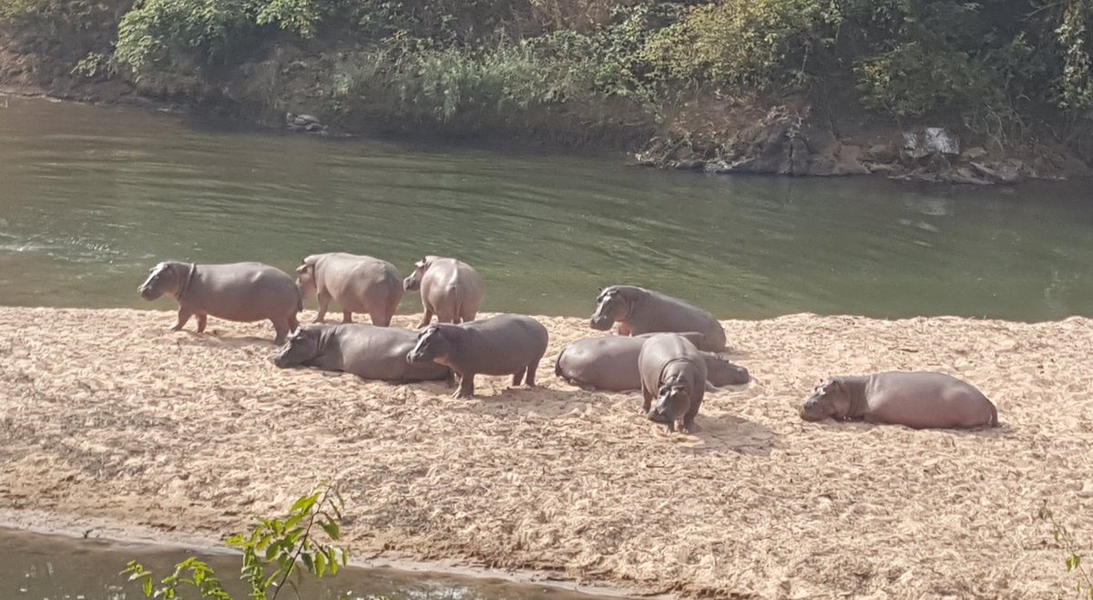 ndanjong marcel arnol tweet media